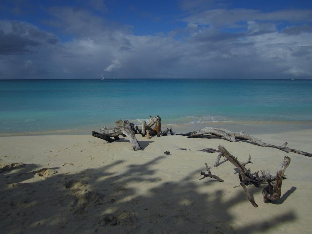 Antigua Chiama Italia Villas Jolly Harbour Zimmer foto